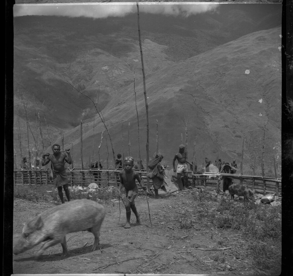 Group Passing Through Gate on Mountainside