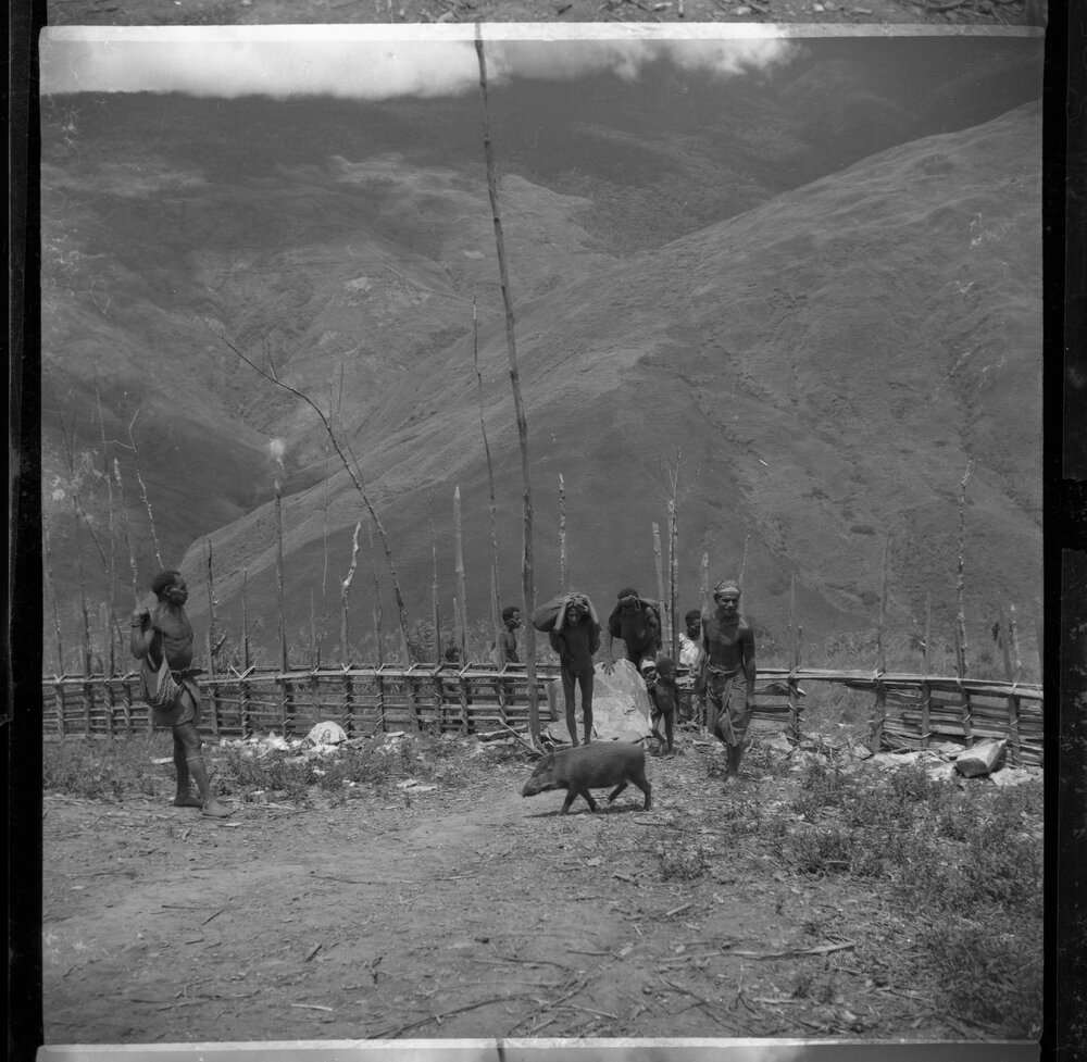 Group Passing Through Gate on Mountainside
