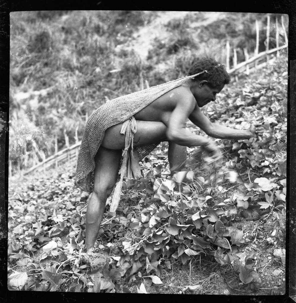 Woman with Net Bag Collecting Plants