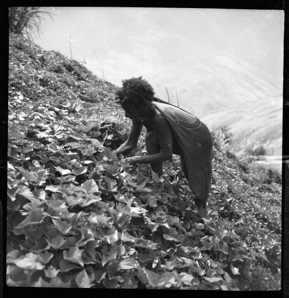 Woman with Net Bag Collecting Plants