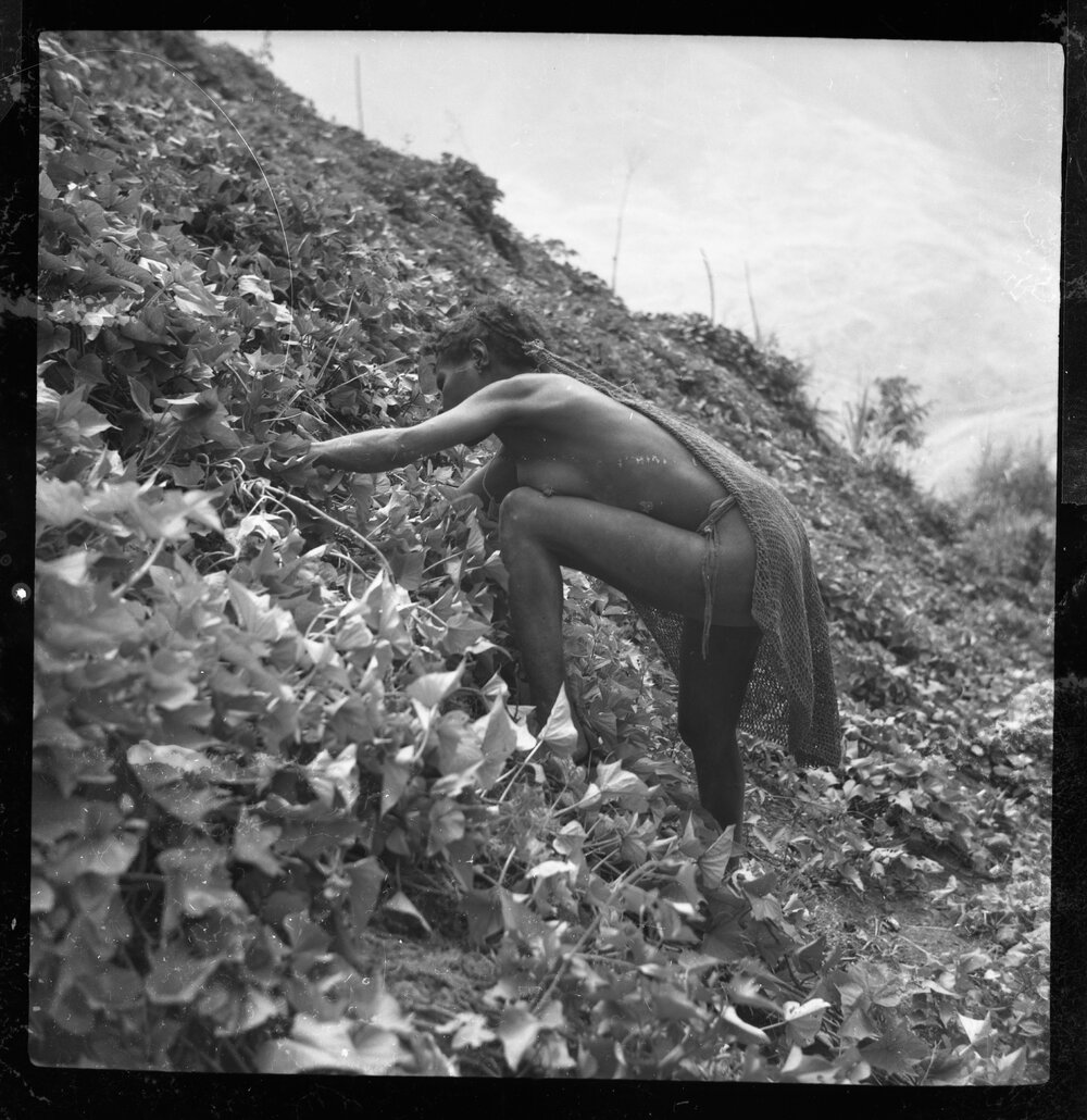 Woman with Net Bag Collecting Plants