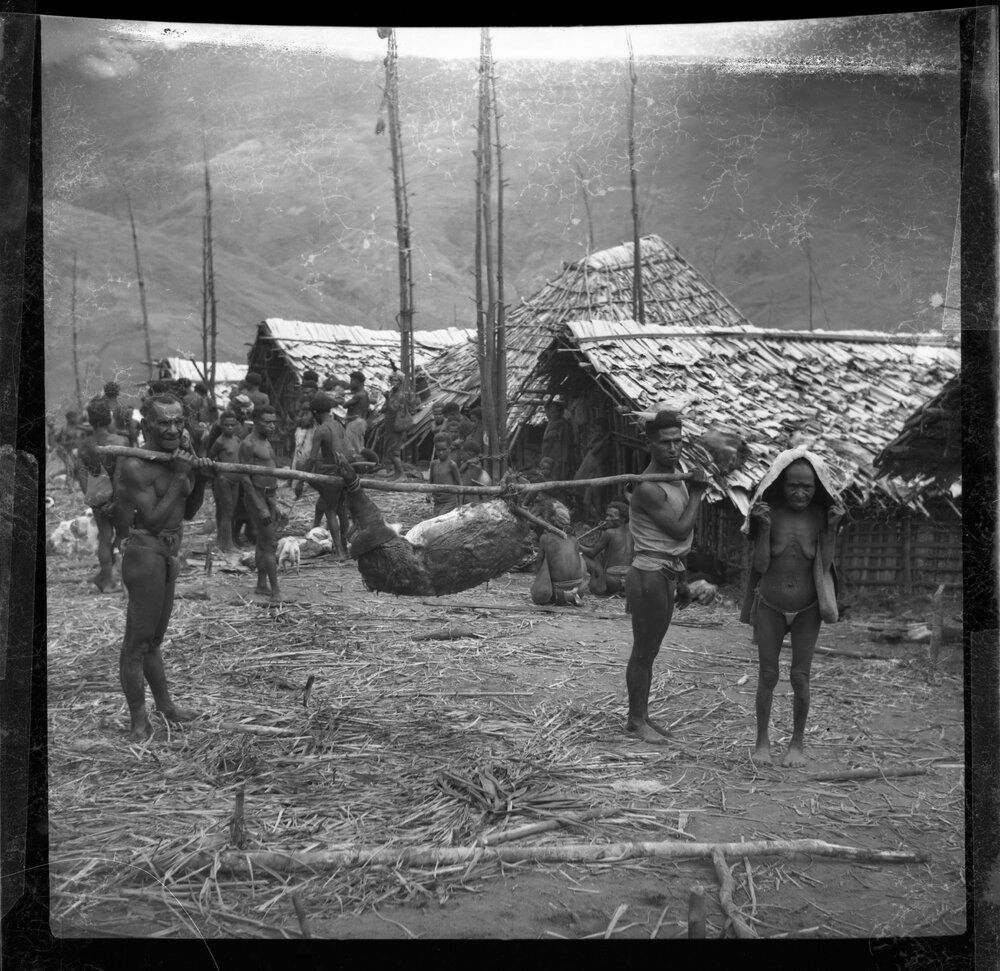 Group Preparing a Pig for a Ceremony