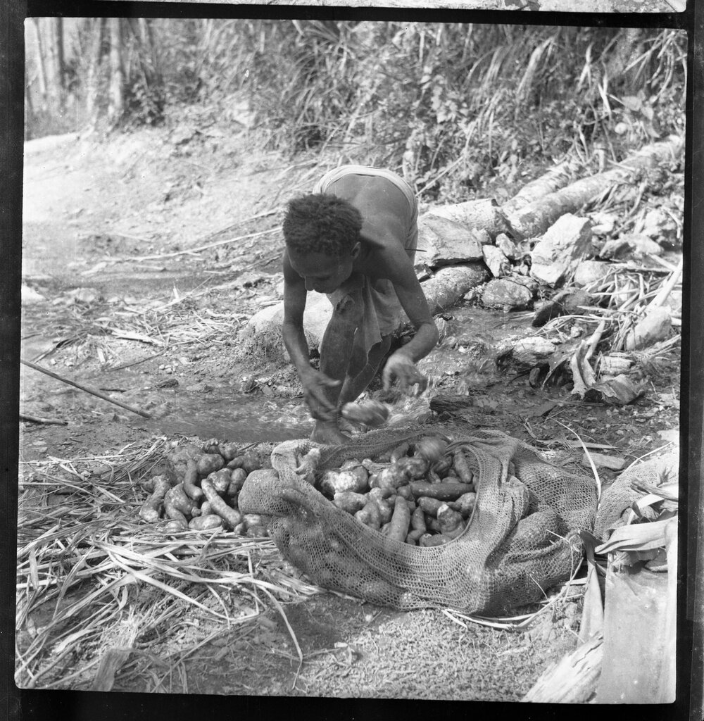 Woman with Net Bag of Vegetables