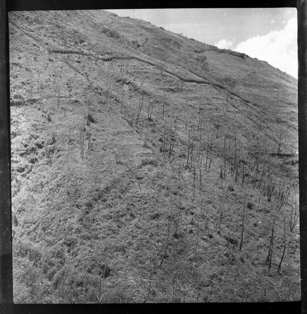 Mountainside, Papua New Guinea