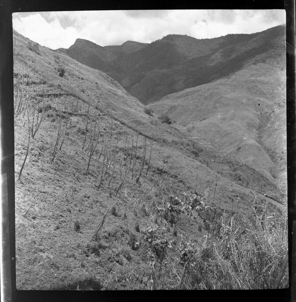 Mountainside, Papua New Guinea