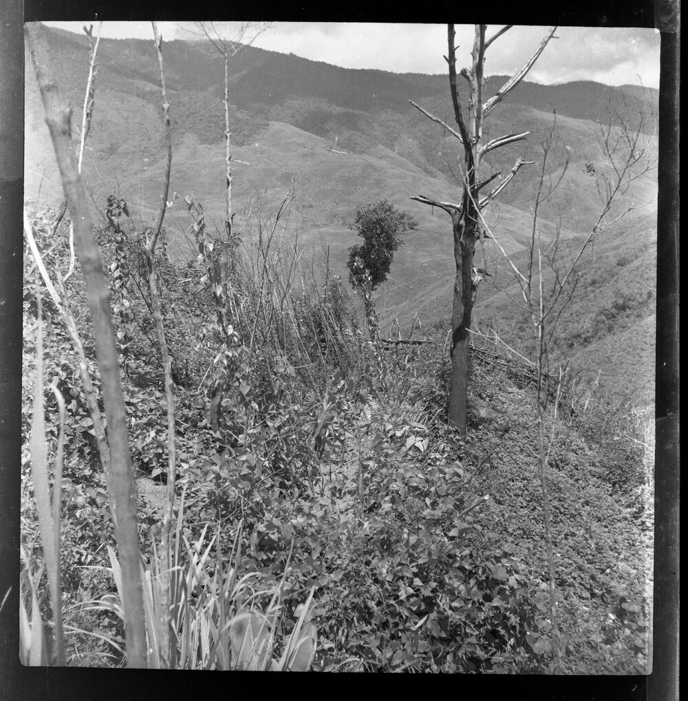 Mountainside, Papua New Guinea