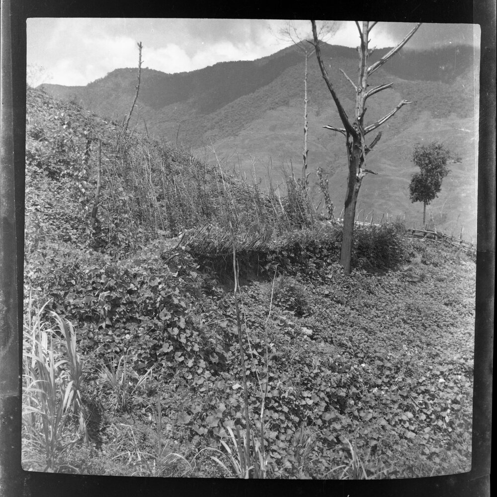 Mountainside, Papua New Guinea