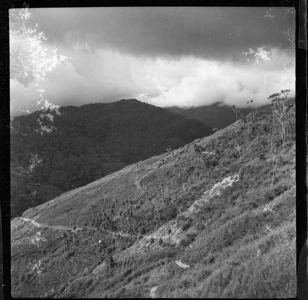 Mountainside, Papua New Guinea