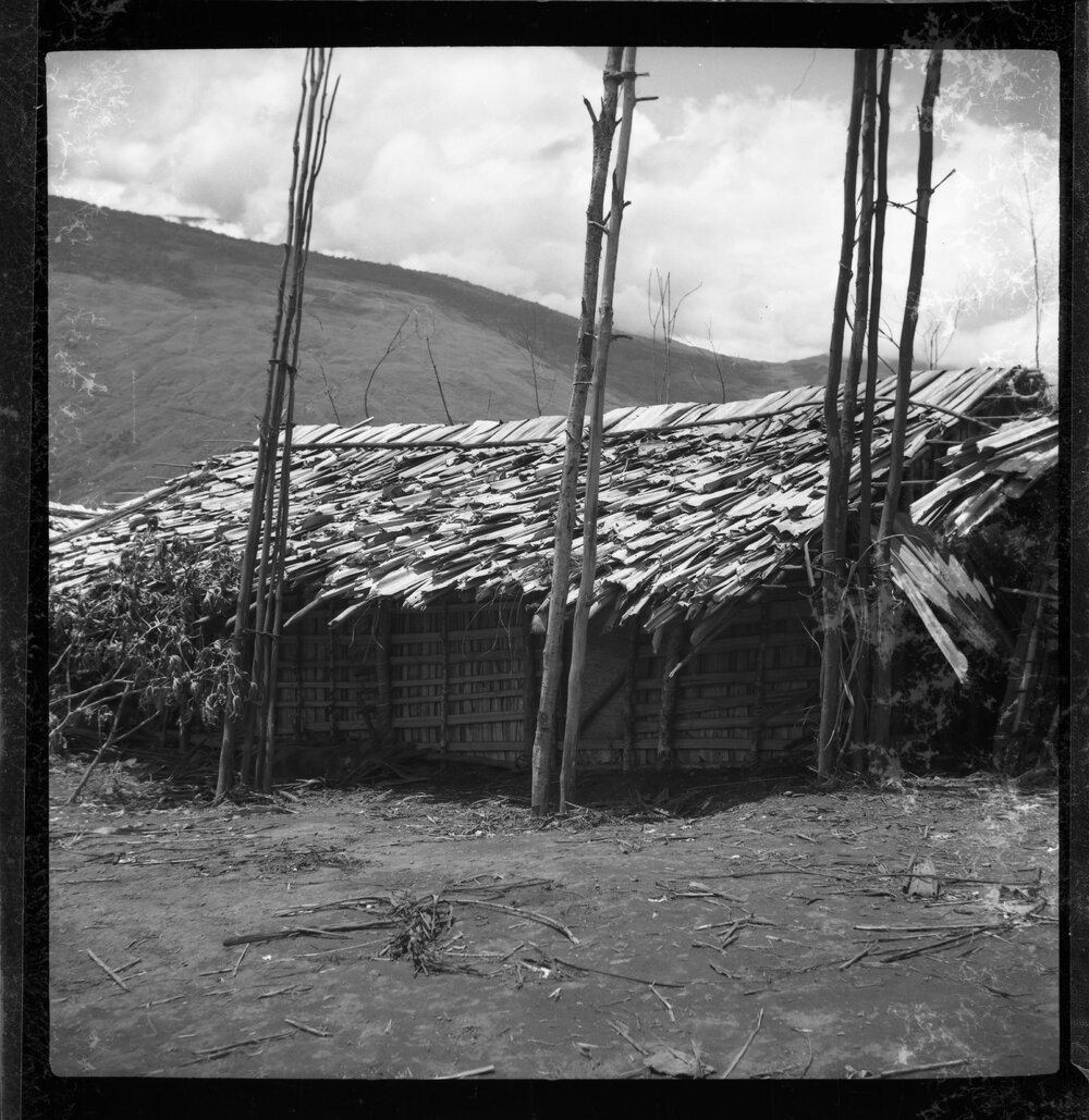 Building with Thatched Roof