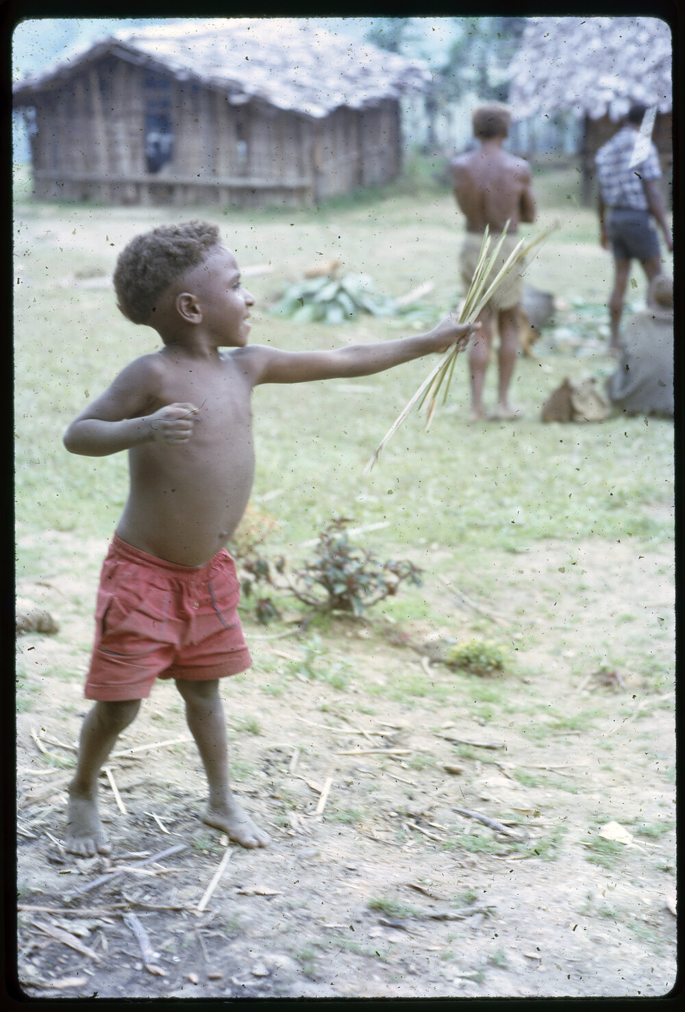 Child Holding Sticks