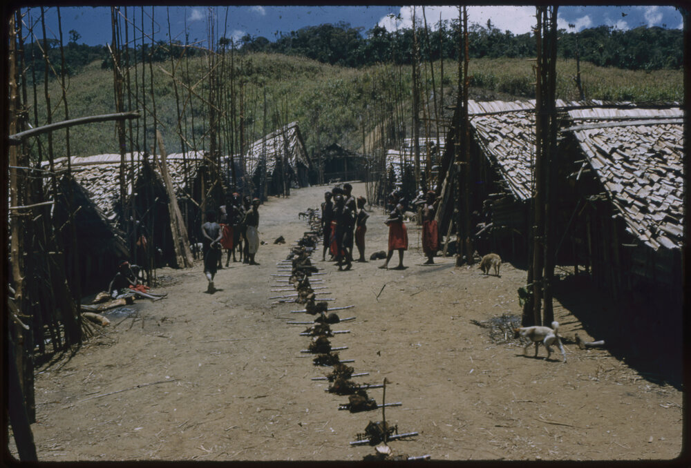 Food Distributions in a Village