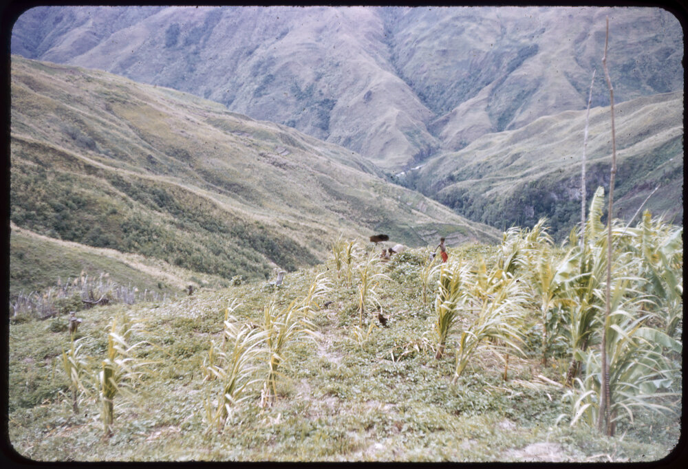 Mountainside, Papua New Guinea