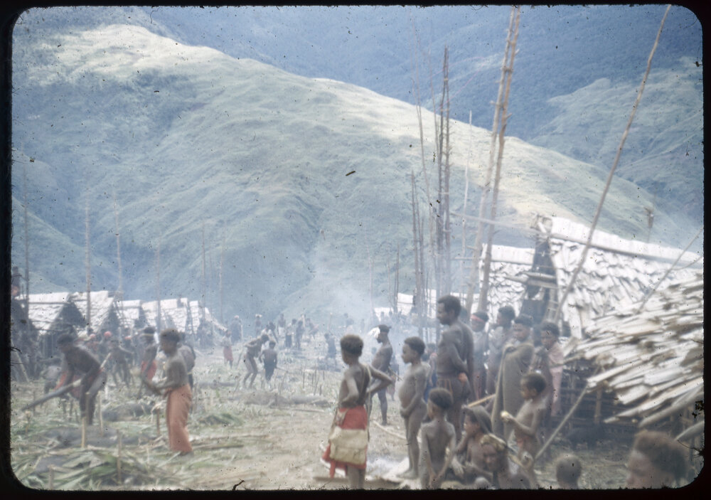 Group Preparing Pigs for a Ceremony