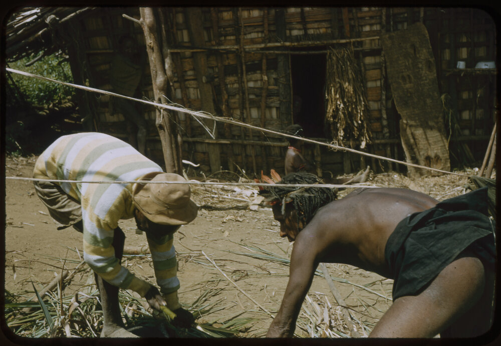Two Men Collecting Sticks