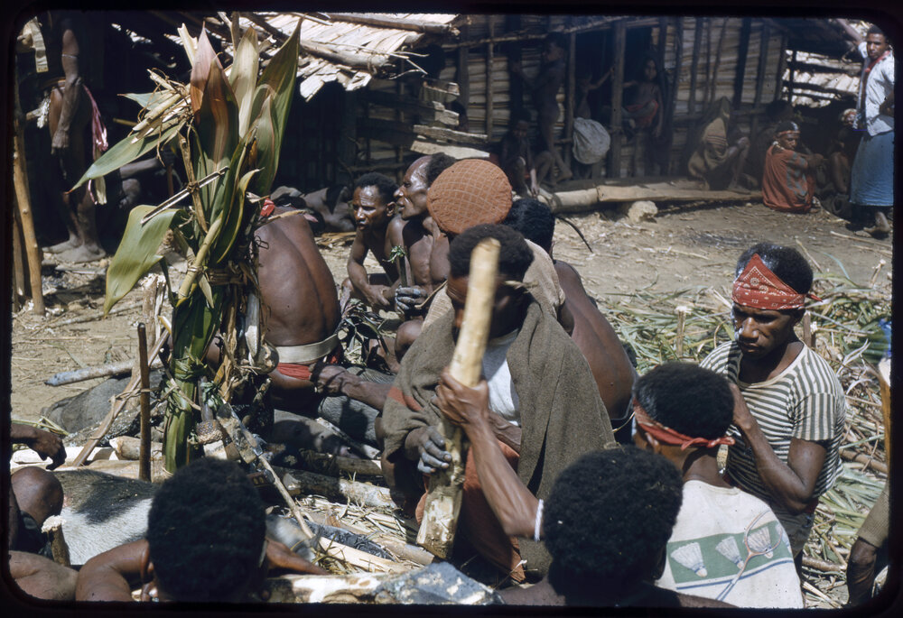 Men Preparing Pigs for a Ceremony