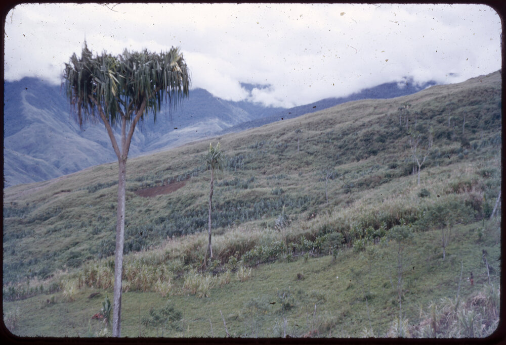 Mountainside, Papua New Guinea
