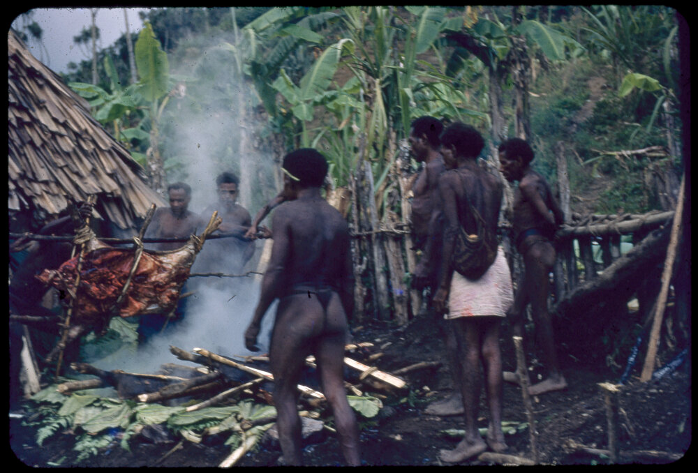 Group Cooking a Pig