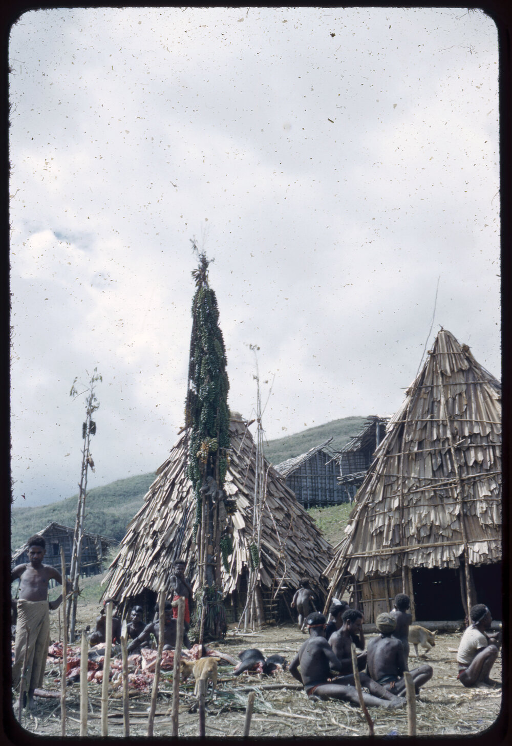 Buildings with Food Poles