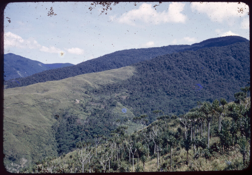 Mountainside, Papua New Guinea