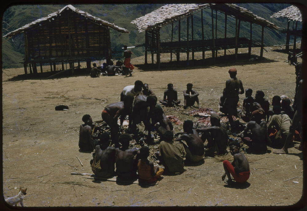Group Gathered Around Butchered Pigs