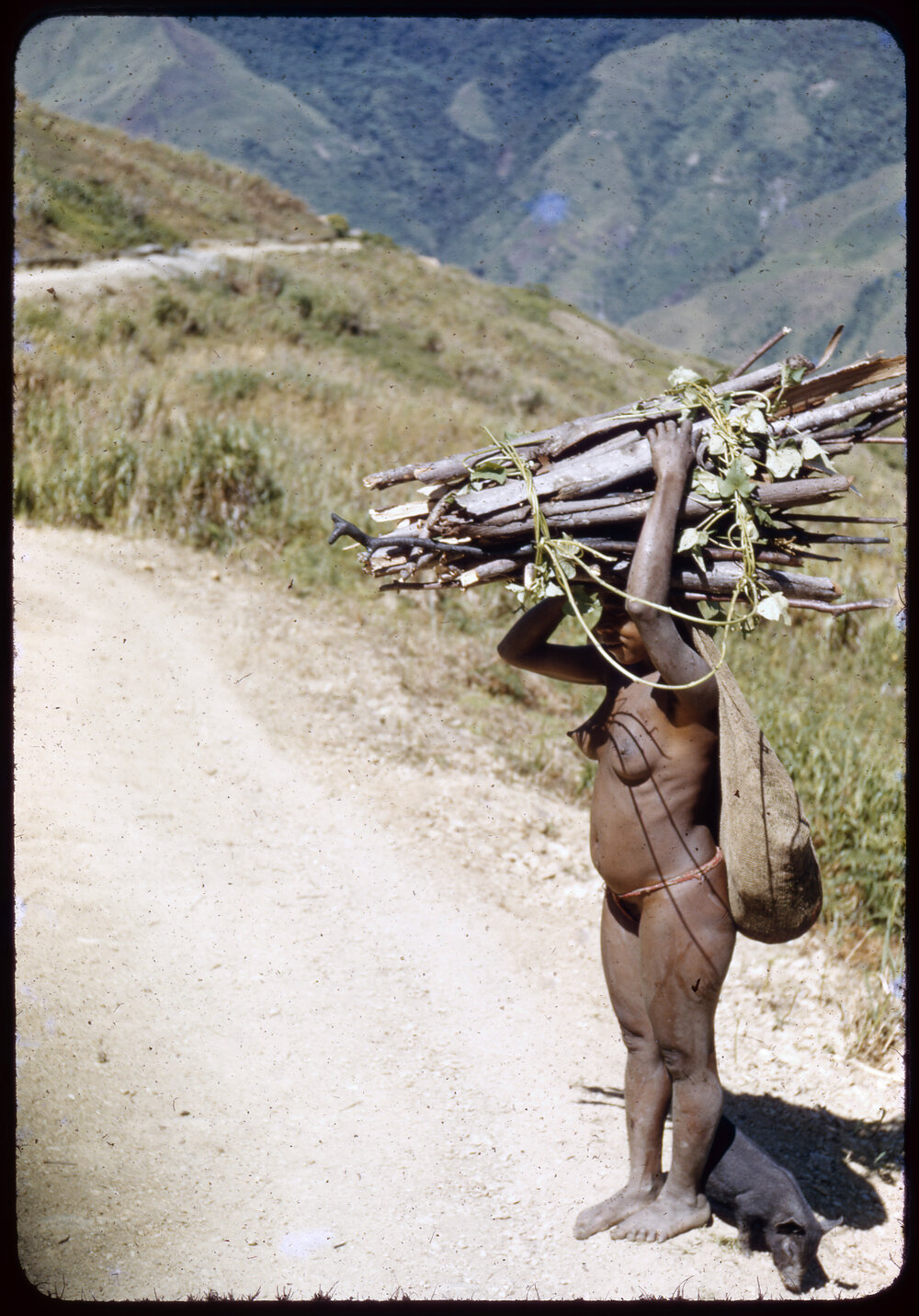 Woman Carrying Pile of Sticks