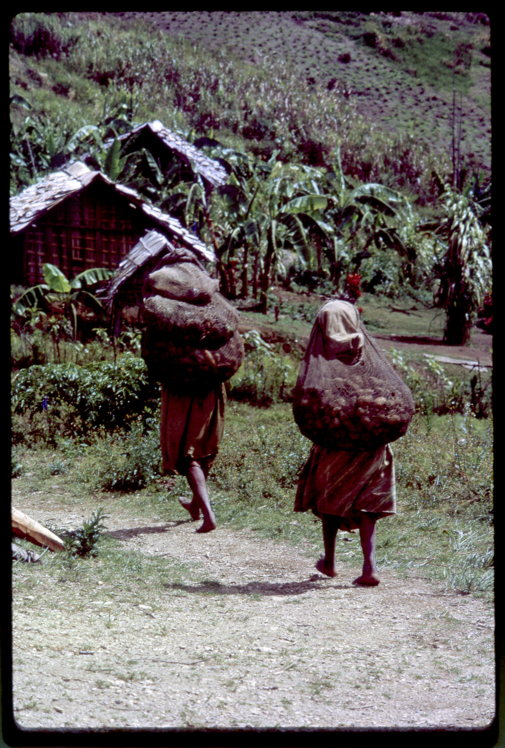 Women Carrying Net Bags