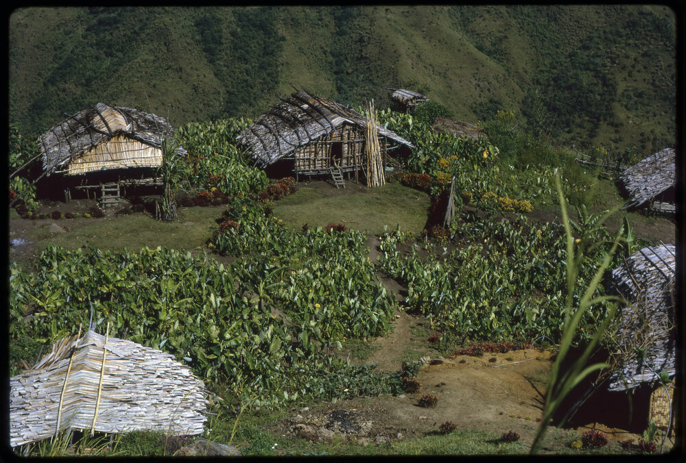 Mountainside Village and Gardens