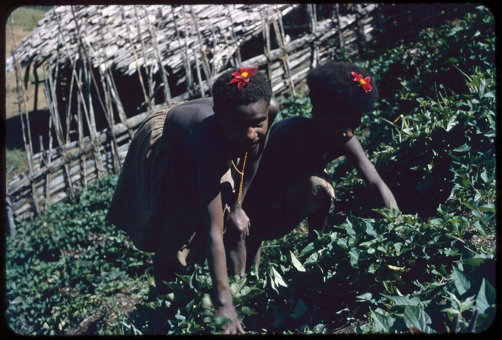 Two Girls Gardening