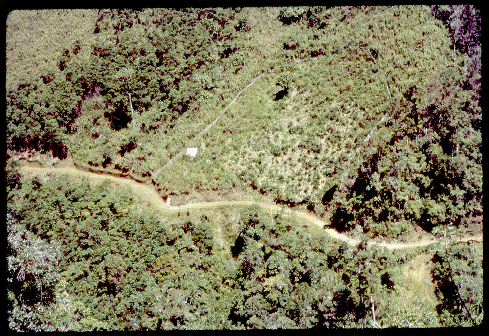 Aerial View of Mountainside Road