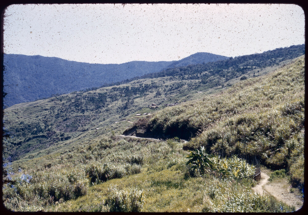 Mountainside Road