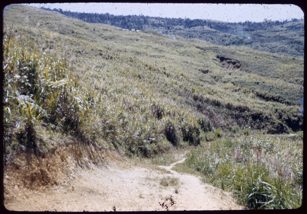 Mountainside Road