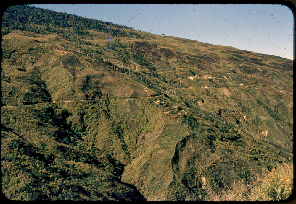 Mountainside, Papua New Guinea