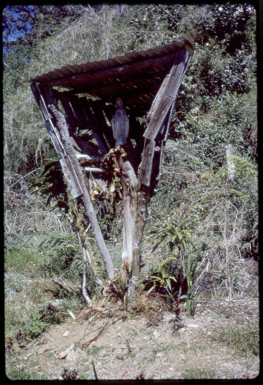 Wooden Shrine