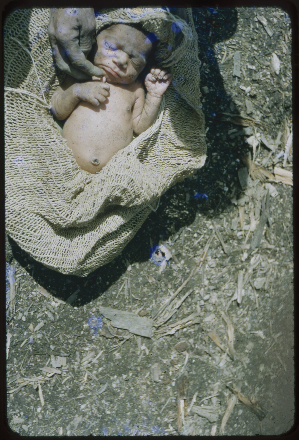 Baby Resting in a Net Carrier