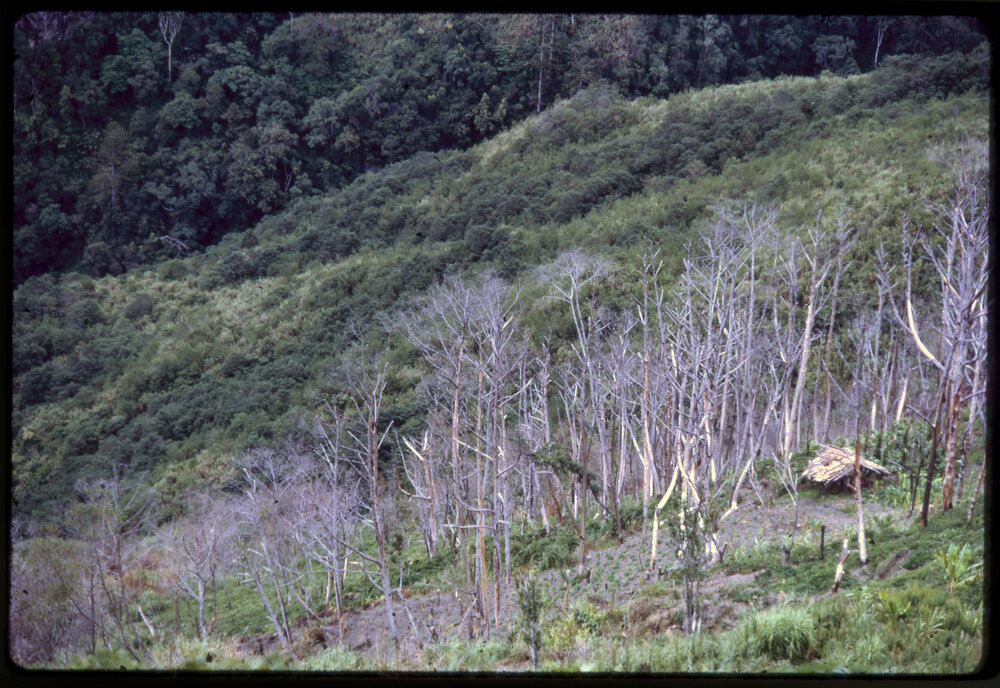 Small Building on Mountainside