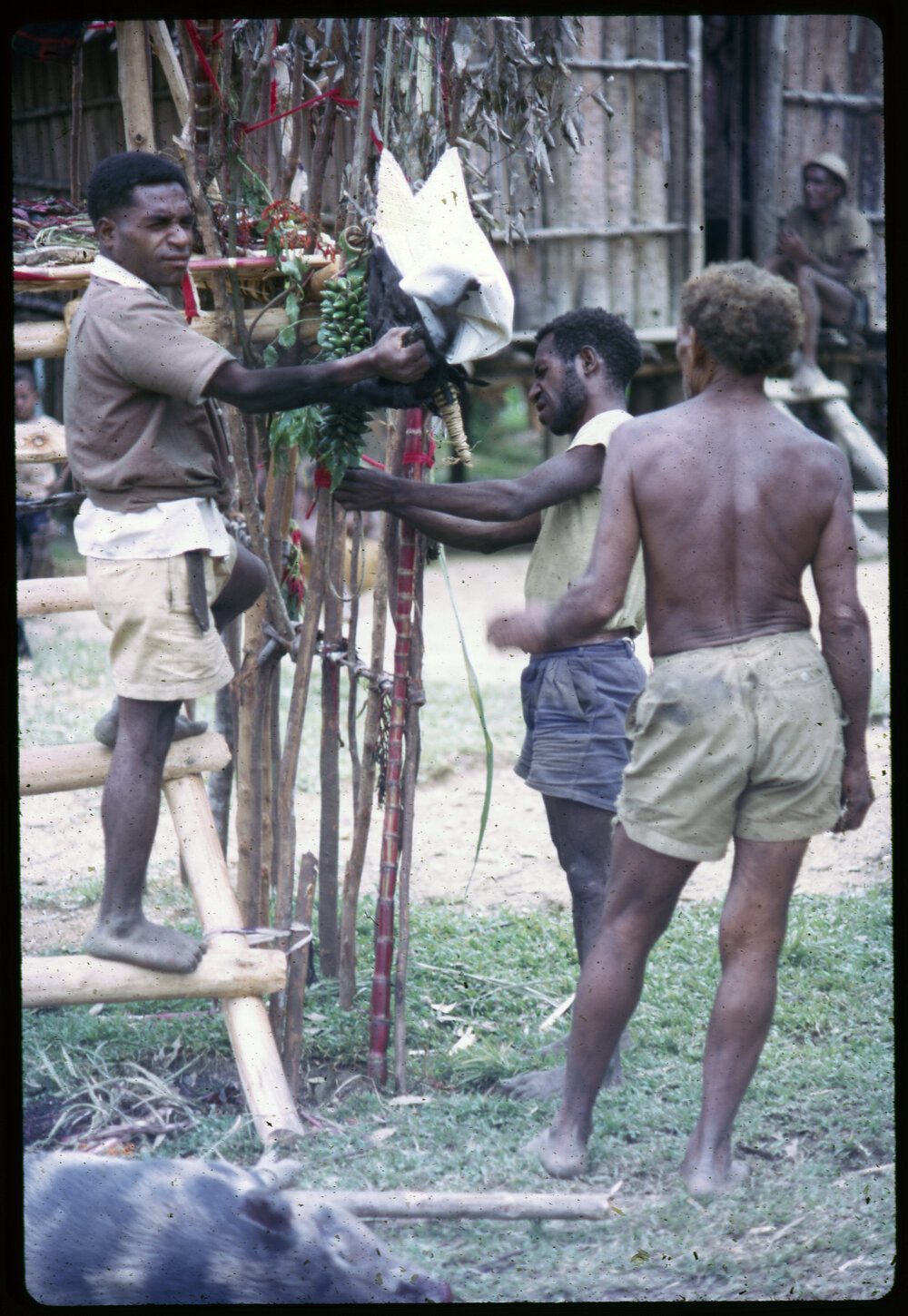 Men Preparing Elevated Platform in Village