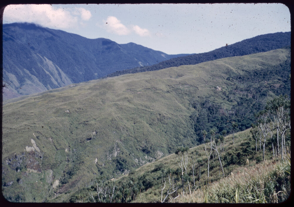 Mountainside, Papua New Guinea