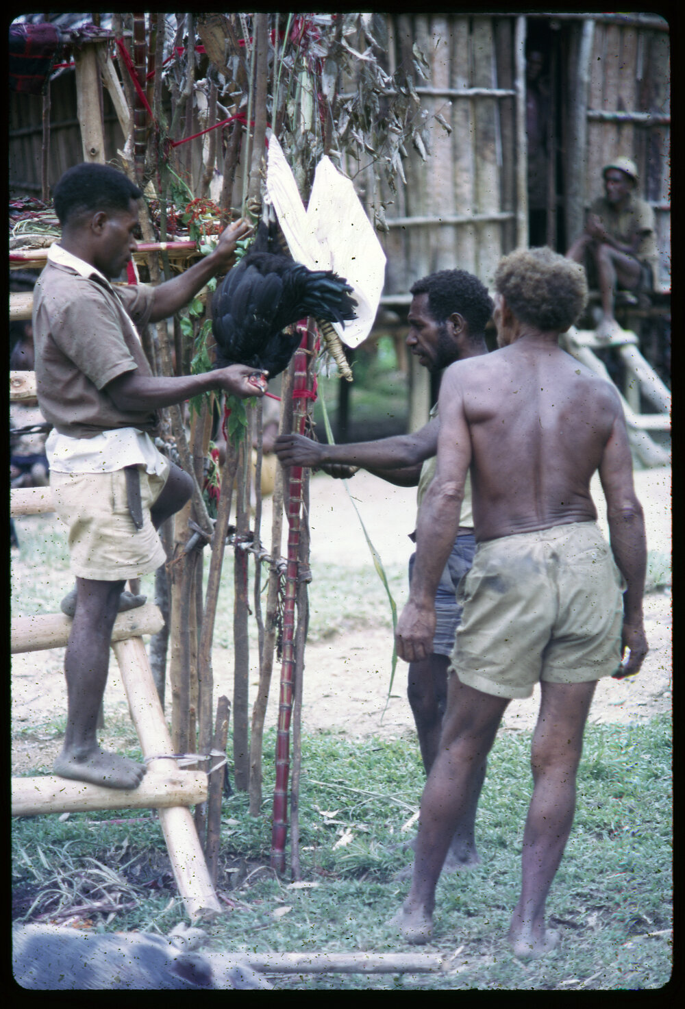 Men Preparing Elevated Platform in Village