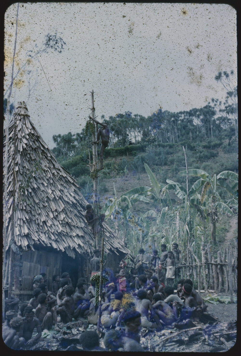 Men Climbing Food Pole