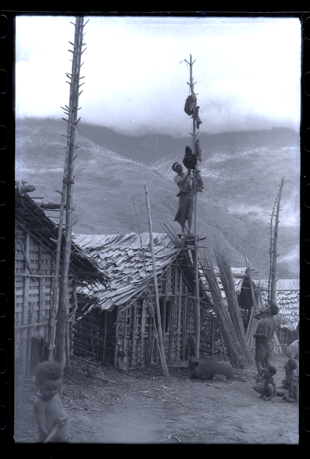 Men Climbing Food Pole