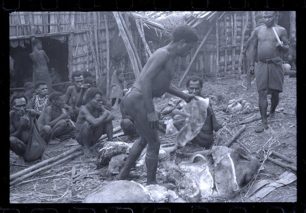 Group Preparing Pigs for a Ceremony