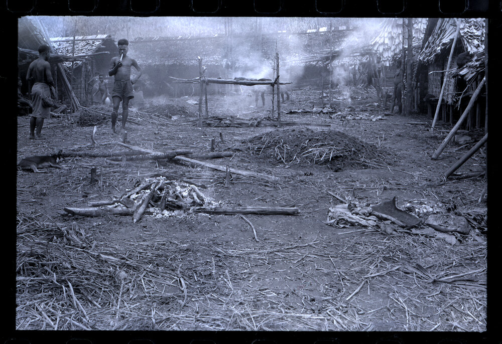 Fire Pits and Butchered Pigs
