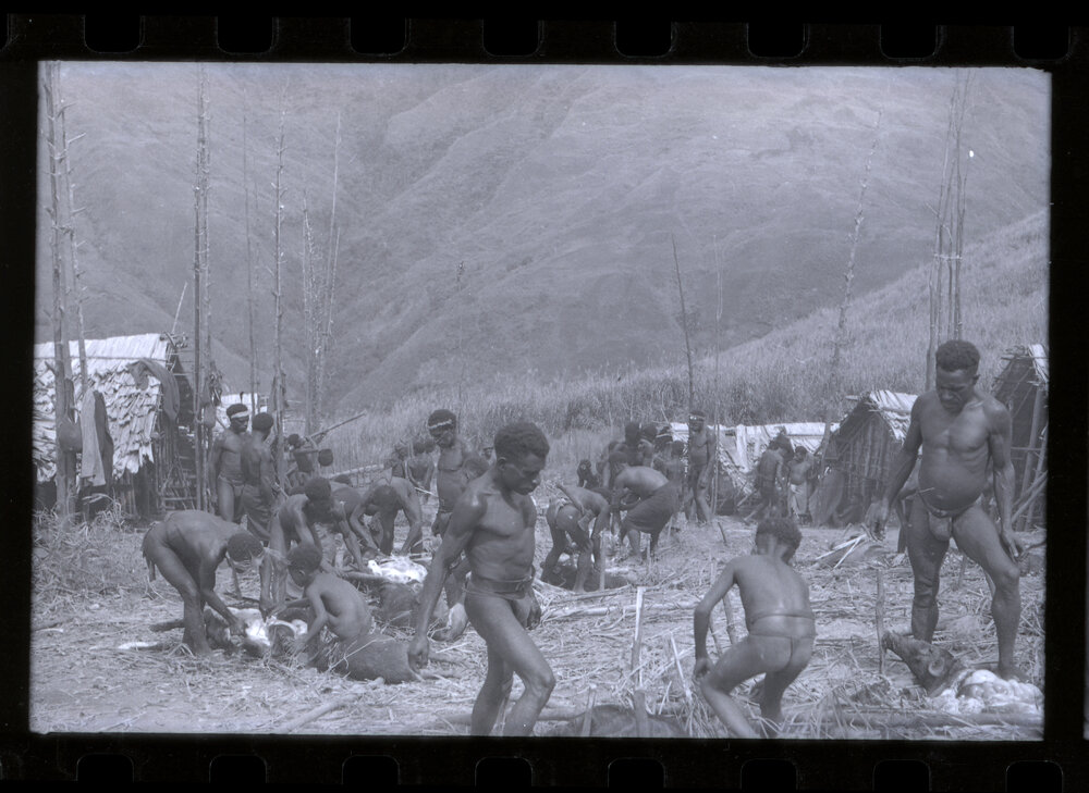 Group Preparing Pigs for a Ceremony