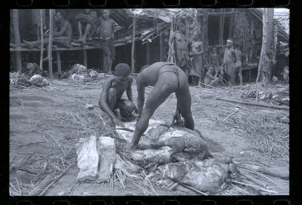 Preparing Pigs for a Ceremony