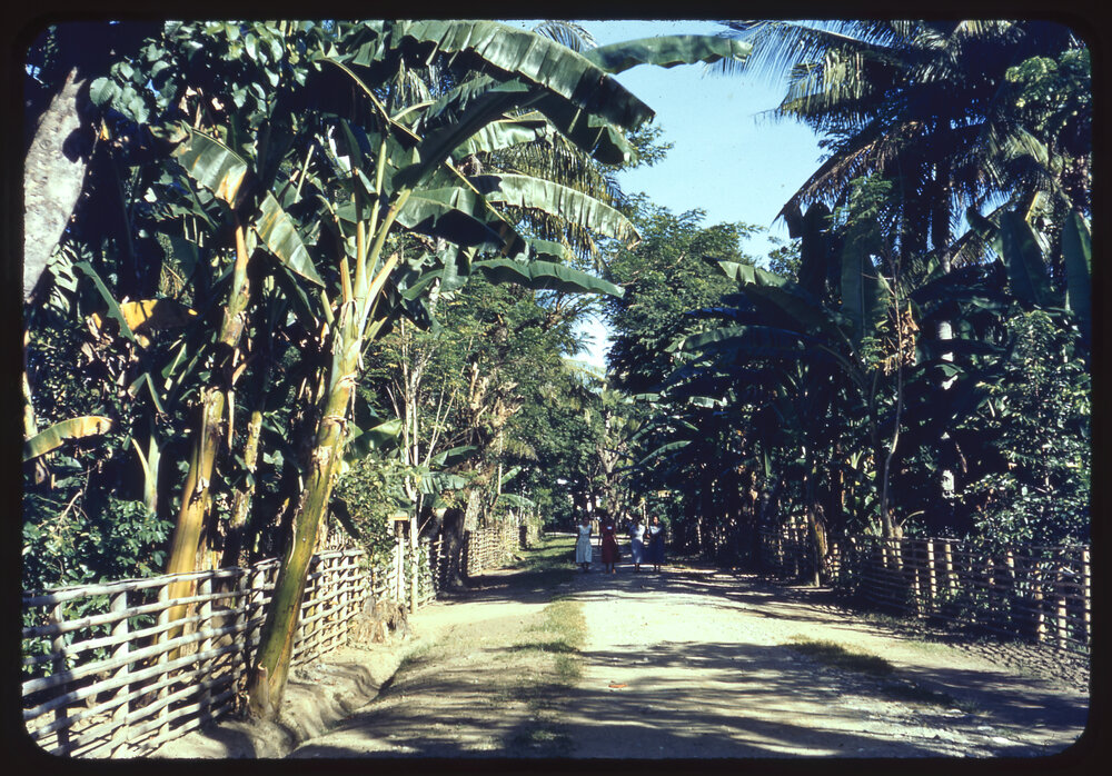 Four Women Walking on Path