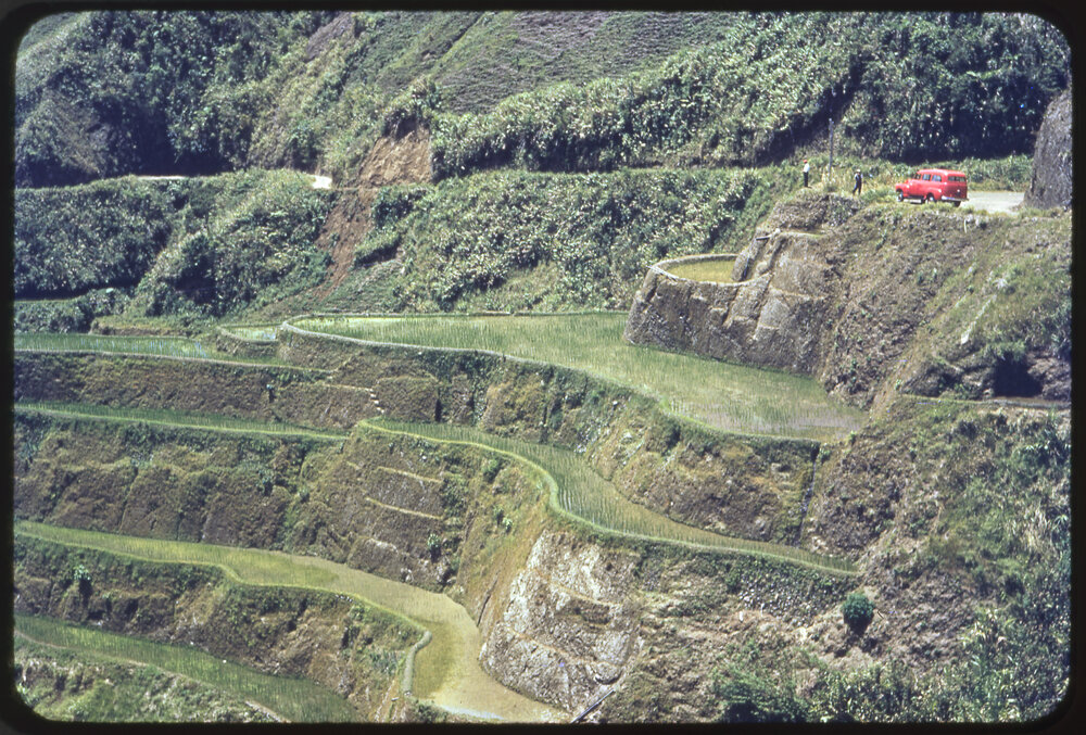 Rice Terraces