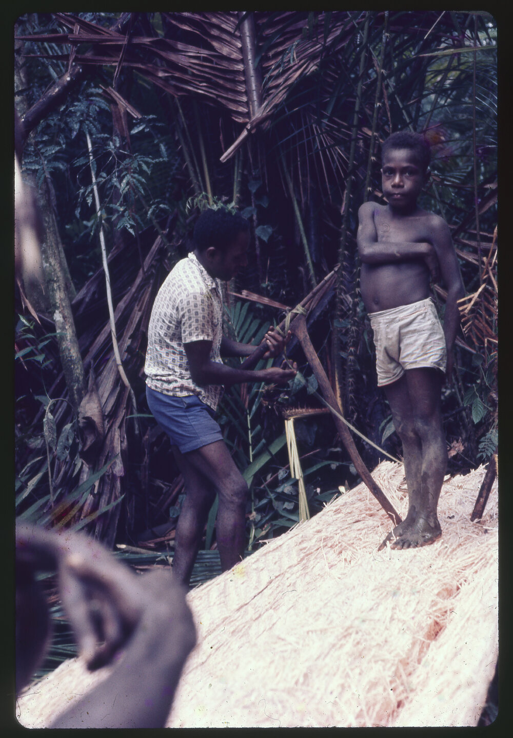 Boy Standing on Felled Tree