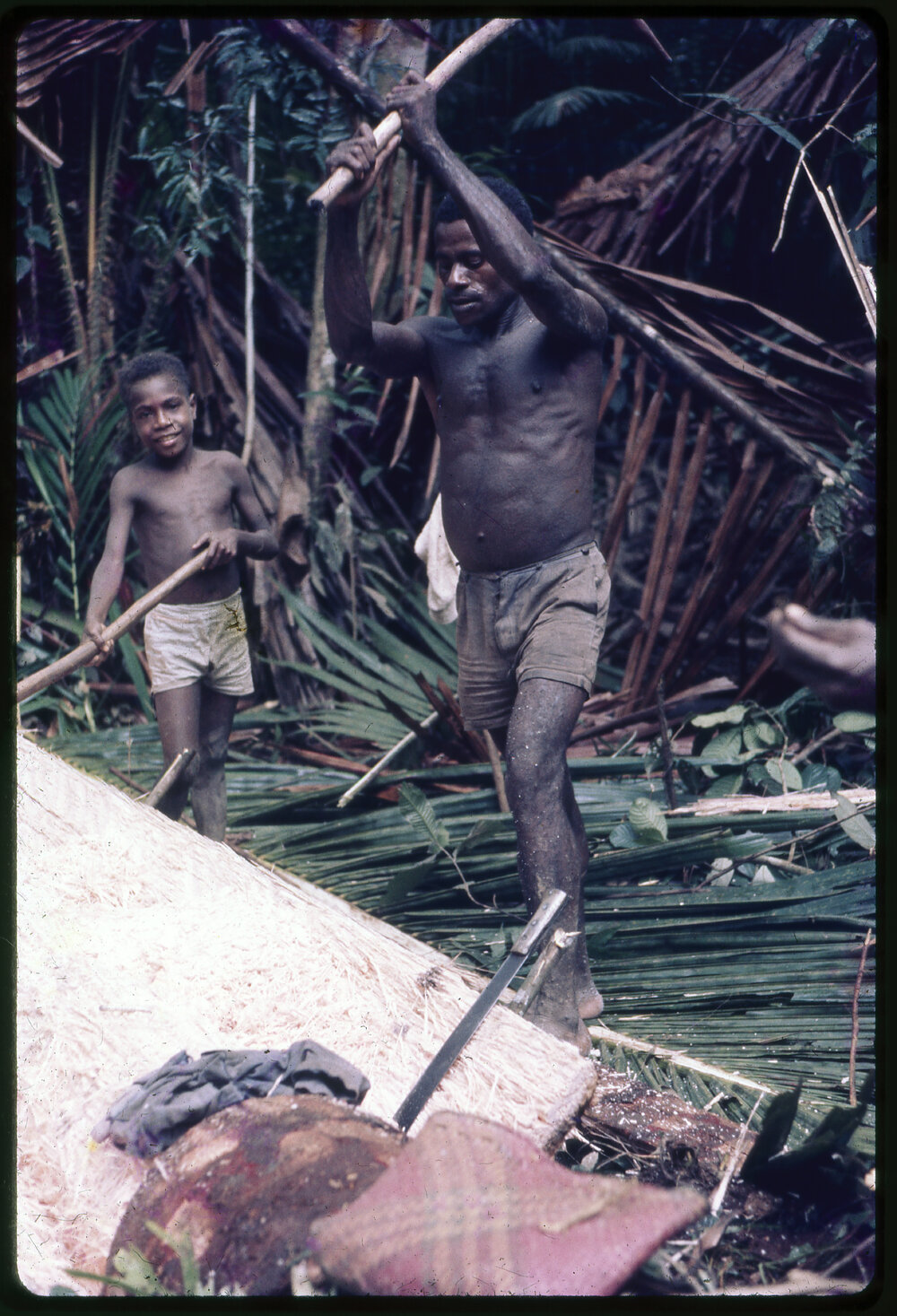 Man Cutting Felled Tree