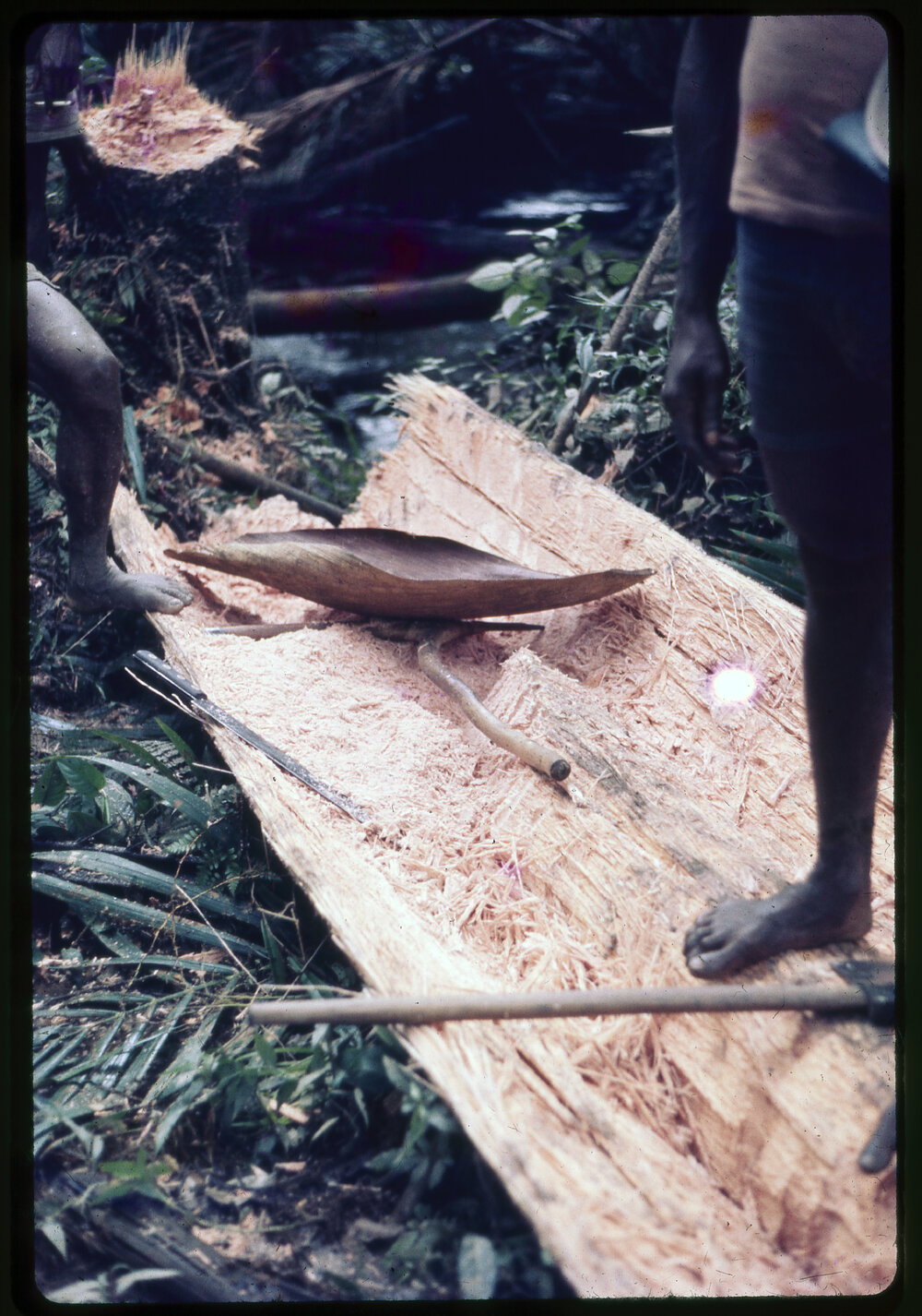Felled Tree with Tools