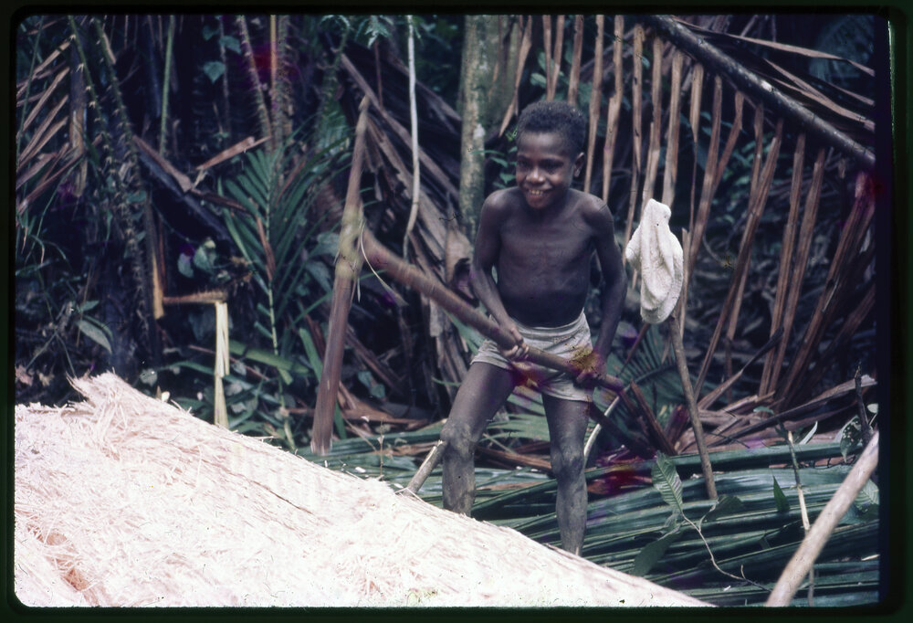 Boy Cutting Felled Tree